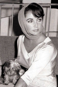 палантины как платок Elizabeth Taylor