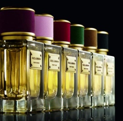Velvet Collection: коллекция ароматов от Dolce & Gabbana